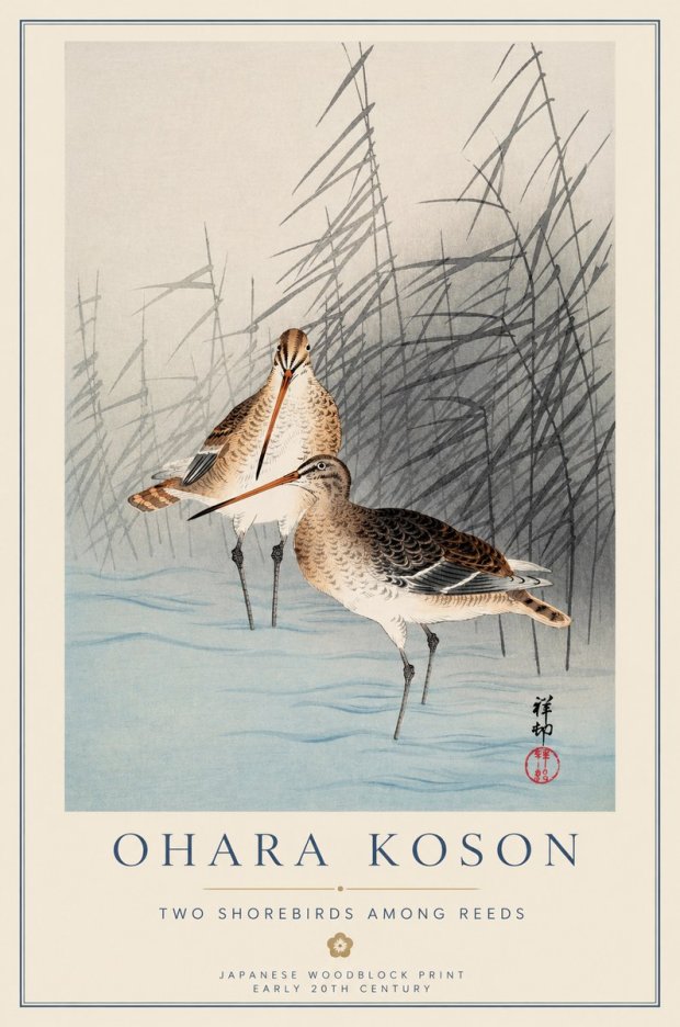 Ohara Koson Snipe in the Reeds No2 - Poszter