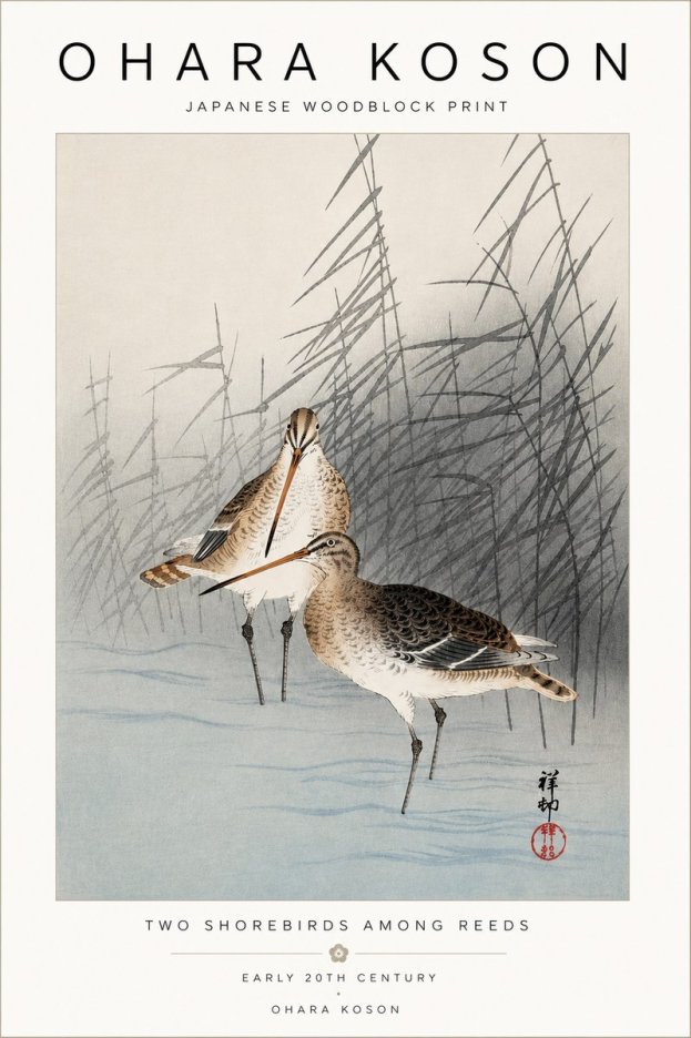Ohara Koson Snipe in the Reeds No5 - Poszter