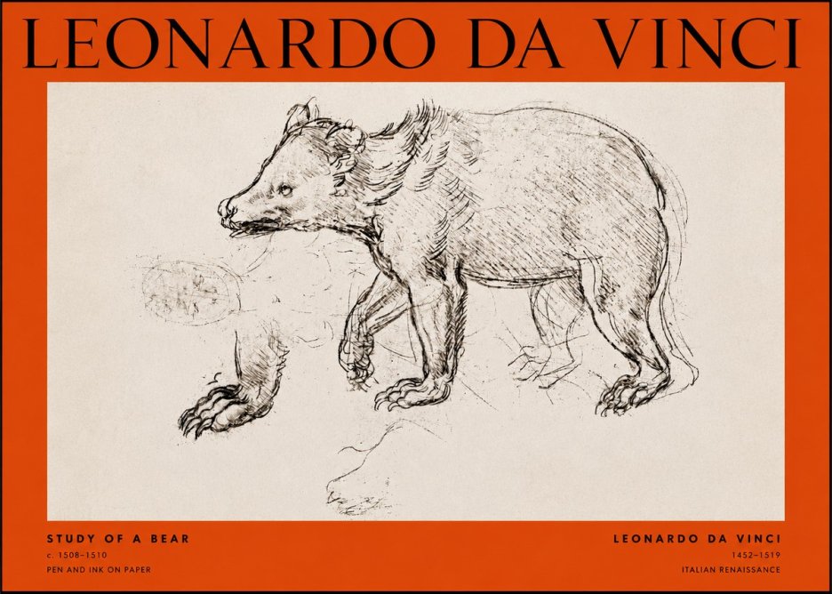 Leonardo da Vinci Study of a Bear No2 - Poszter