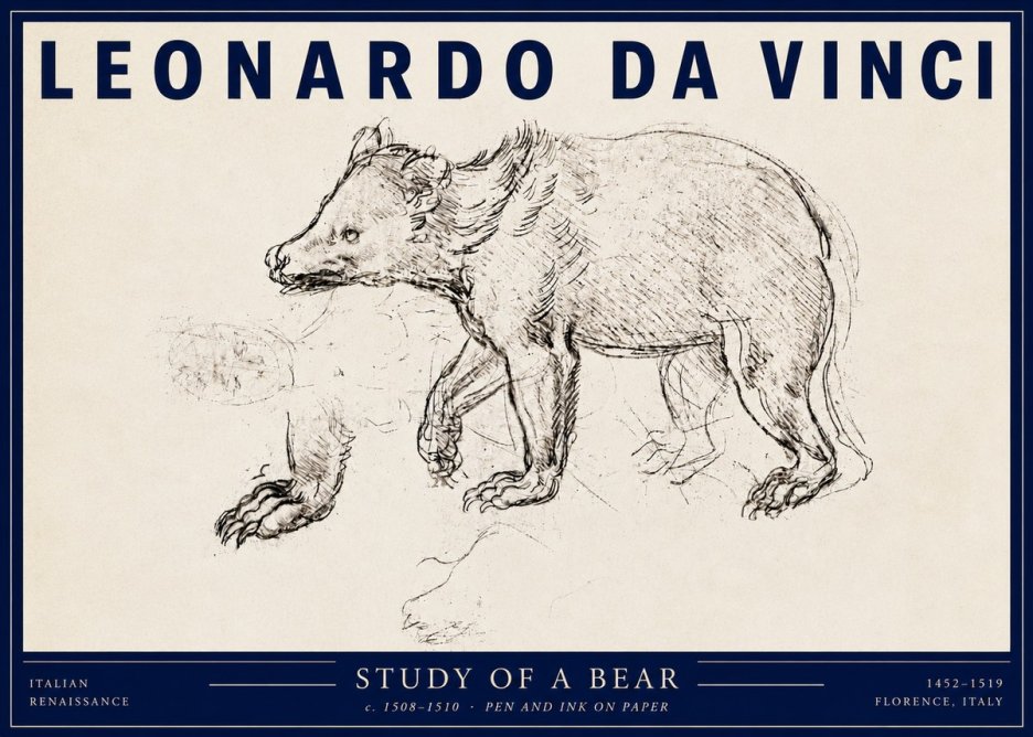 Leonardo da Vinci Study of a Bear No3 - Poszter