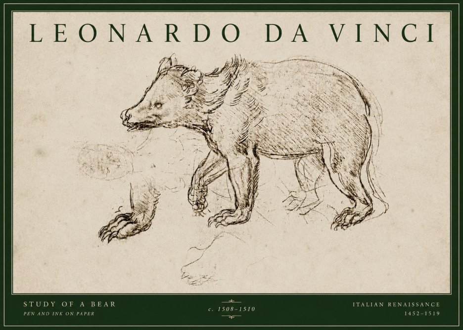 Leonardo da Vinci Study of a Bear No4 - Poszter