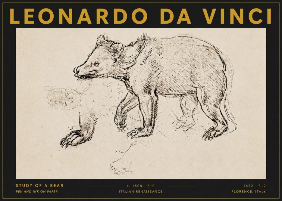 Leonardo da Vinci Study of a Bear No5 - Poszter