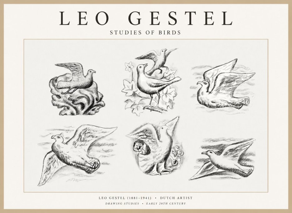 Leo Gestel Studies of Birds No1 - Poszter
