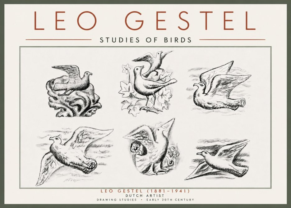 Leo Gestel Studies of Birds No5 - Poszter