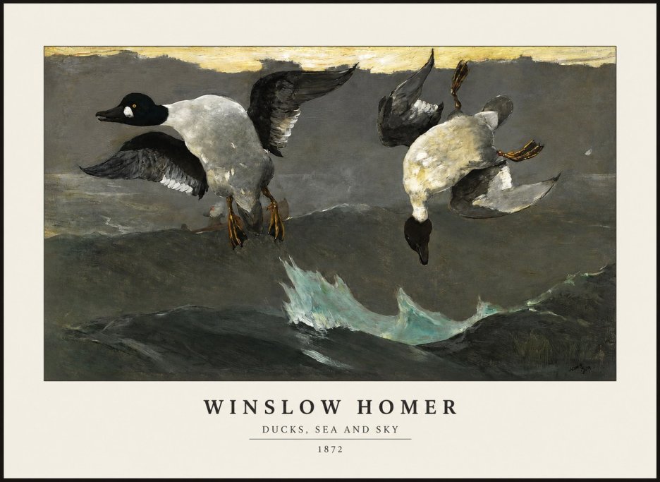 Winslow Homer Ducks, Sea and Sky No1 - Poszter