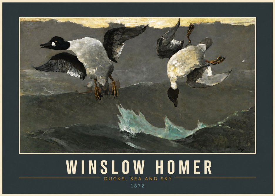 Winslow Homer Ducks, Sea and Sky No2 - Poszter