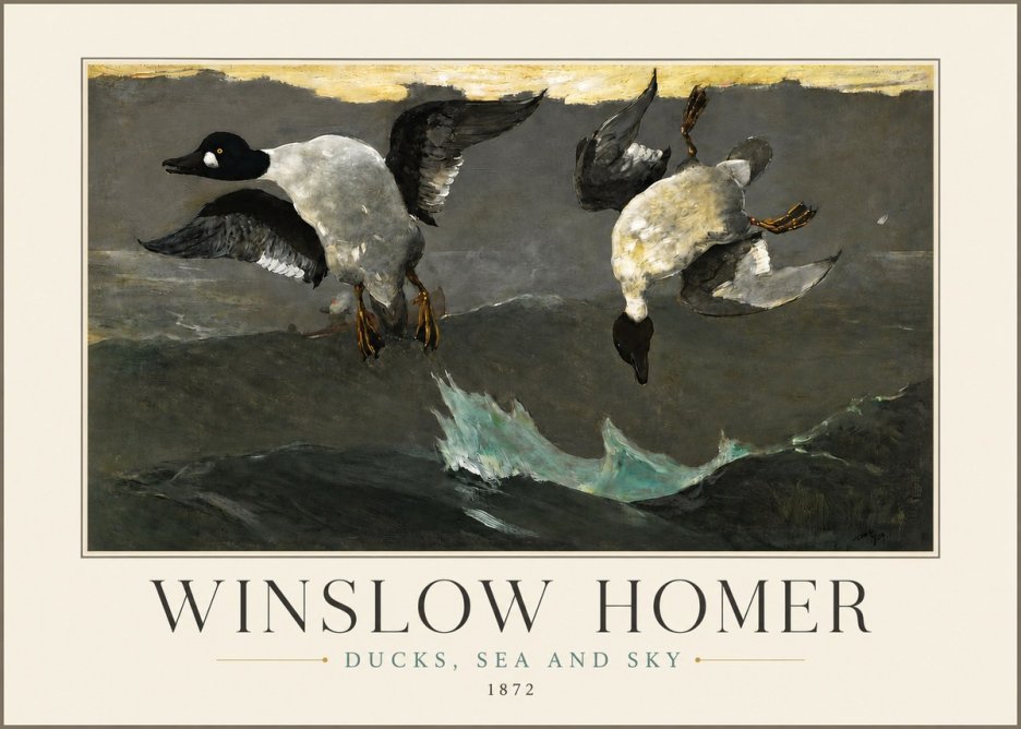 Winslow Homer Ducks, Sea and Sky No3 - Poszter