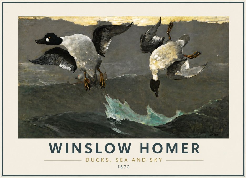 Winslow Homer Ducks, Sea and Sky No5 - Poszter