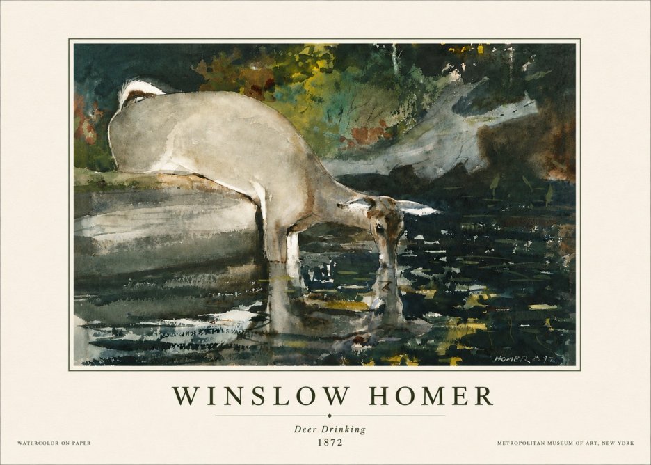 Winslow Homer Deer Drinking No5 - Poszter