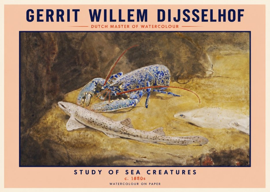 Gerrit Willem Dijsselhof Study of Sea Creatures No2 - Poszter