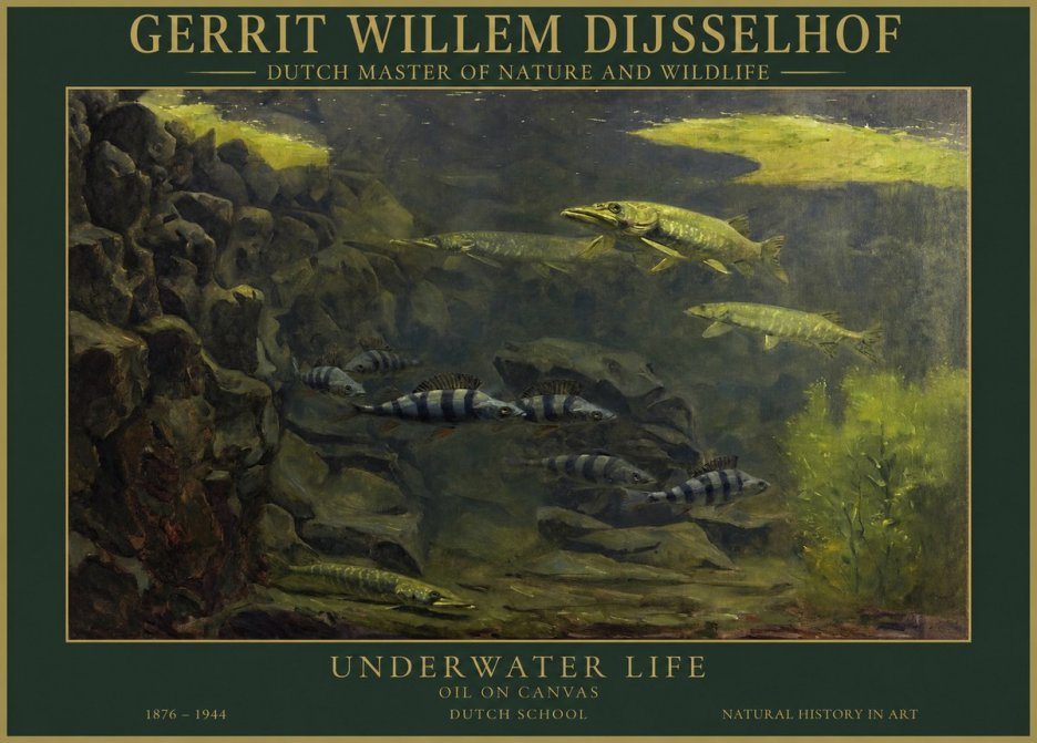 Gerrit Willem Dijsselhof Underwater Life No1 - Poszter