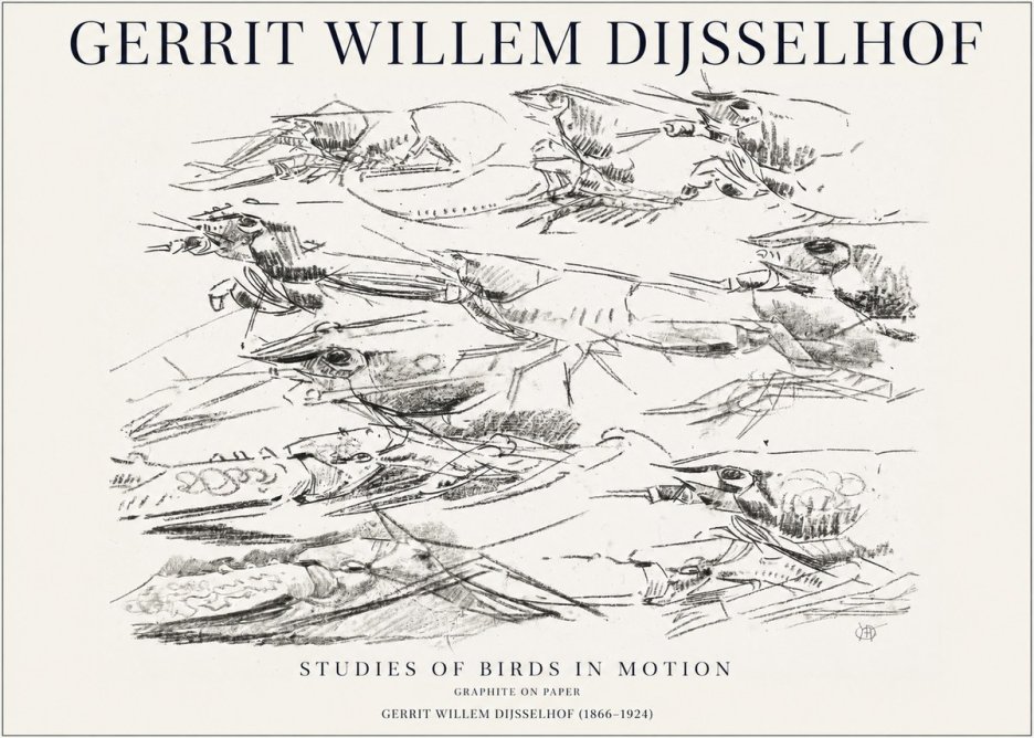 Gerrit Willem Dijsselhof Studies of Birds in Motion No1 - Poszter