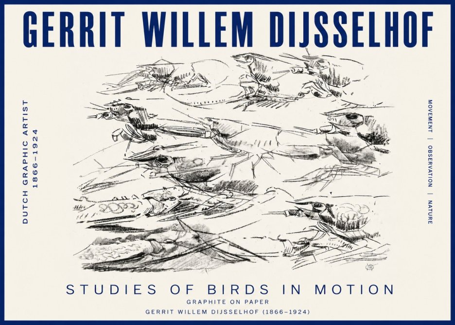 Gerrit Willem Dijsselhof Studies of Birds in Motion No3 - Poszter