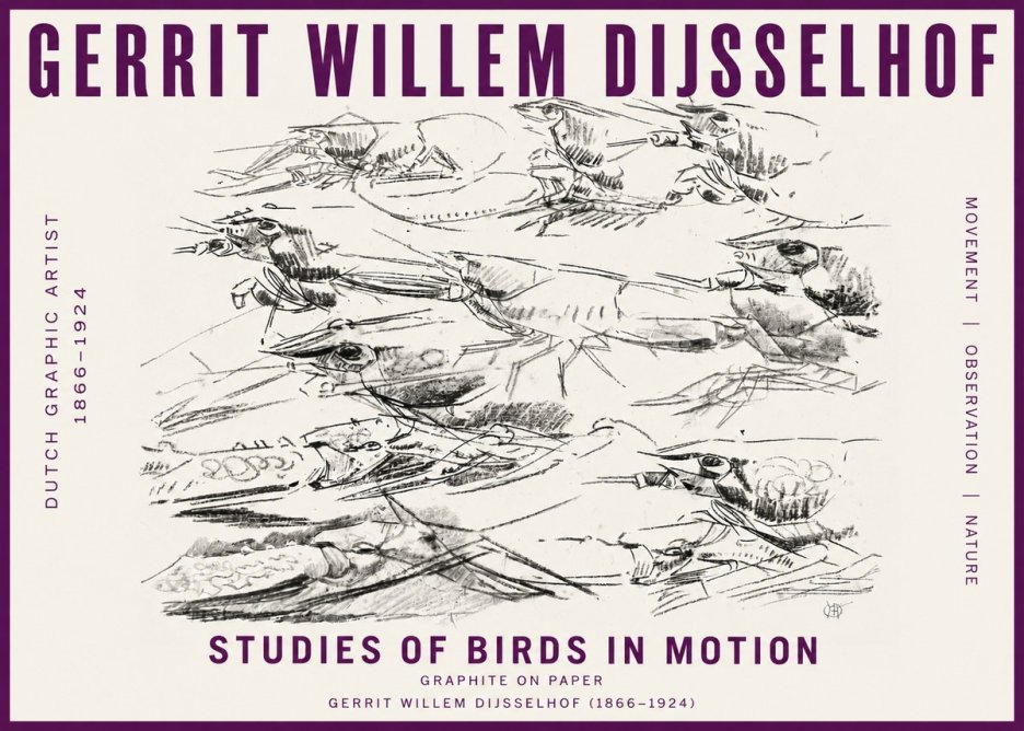 Gerrit Willem Dijsselhof Studies of Birds in Motion No5 - Poszter