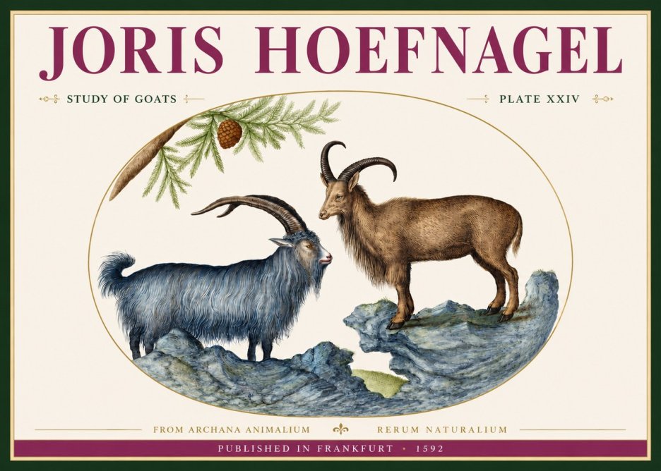Joris Hoefnagel Two Mountain Goats from the Series Quadrupeds No4 - Poszter