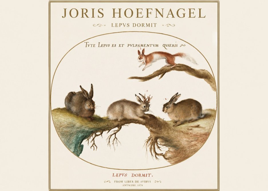 Joris Hoefnagel Lepvs Dormit No1 - Poszter