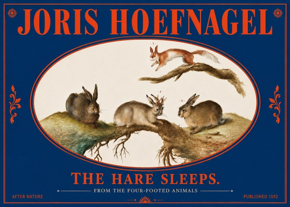 Joris Hoefnagel Lepvs Dormit No5 - Poszter