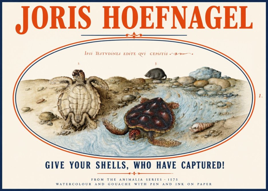 Joris Hoefnagel Two Turtles in a Stream No4 - Poszter