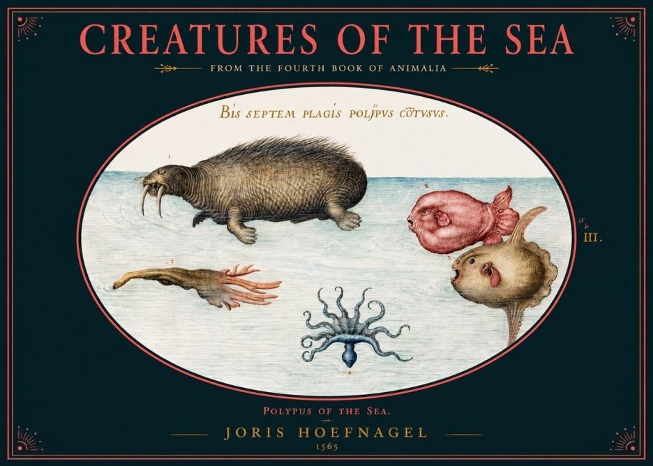 Joris Hoefnagel Polyps of the Sea No2 - Poszter