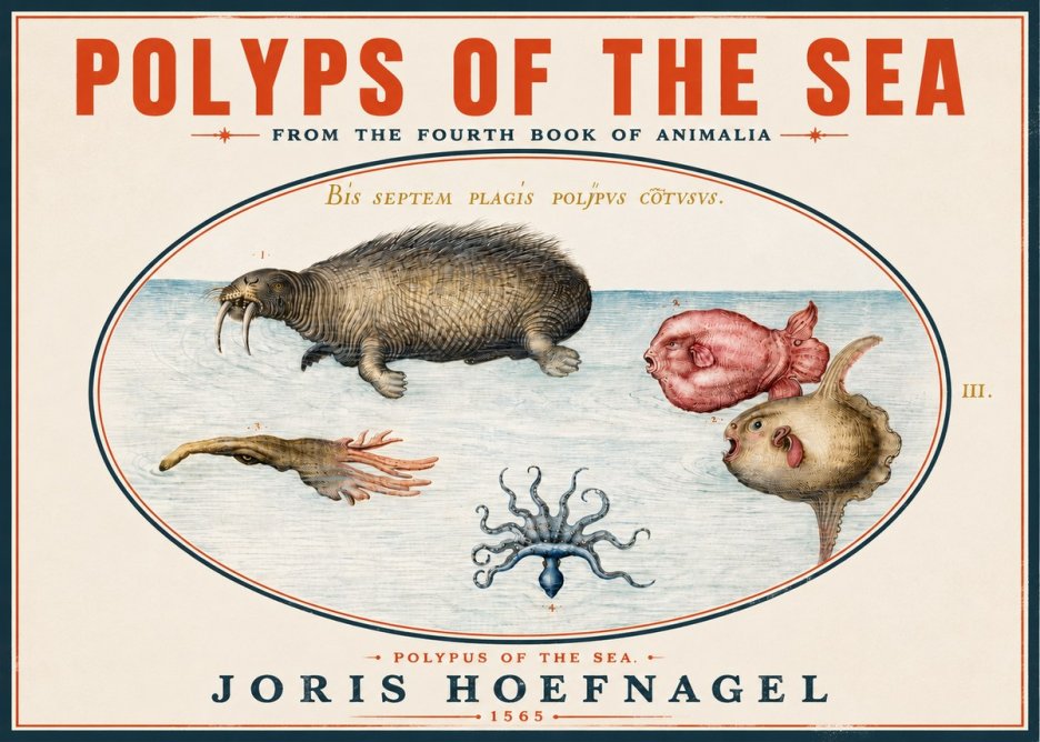 Joris Hoefnagel Polyps of the Sea No4 - Poszter
