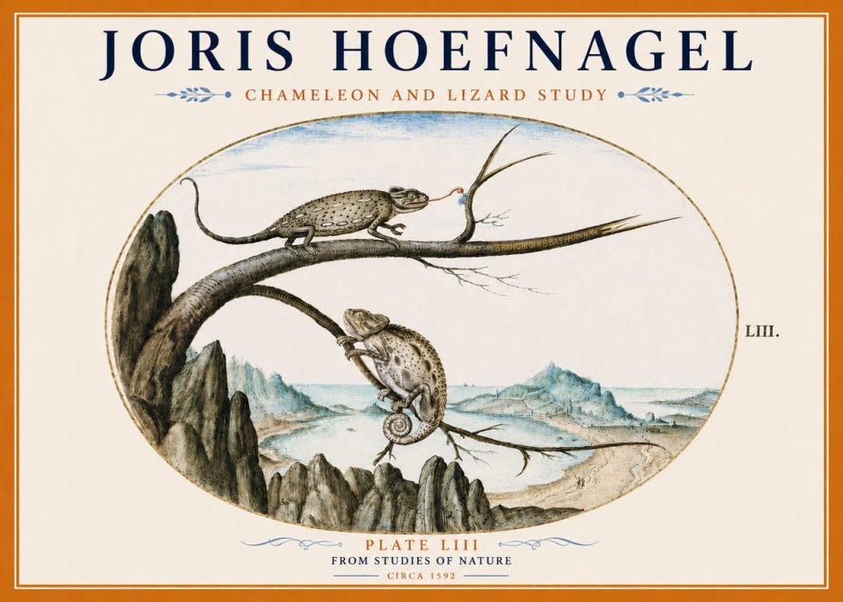 Joris Hoefnagel Chameleon and Lizard No6 - Poszter