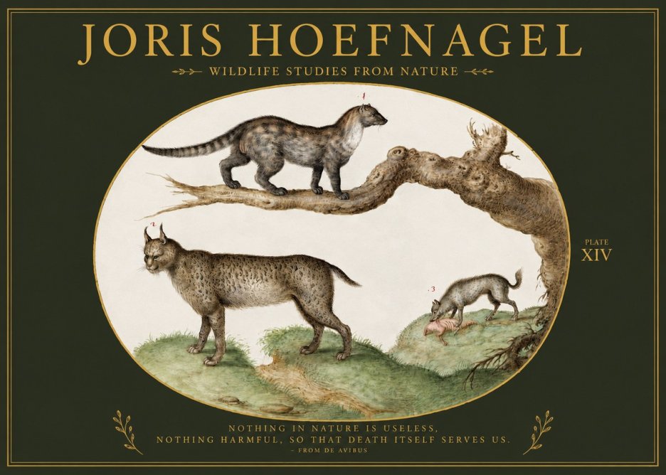 Joris Hoefnagel Wildlife Studies from Nature - Plate Xiv No2 - Poszter