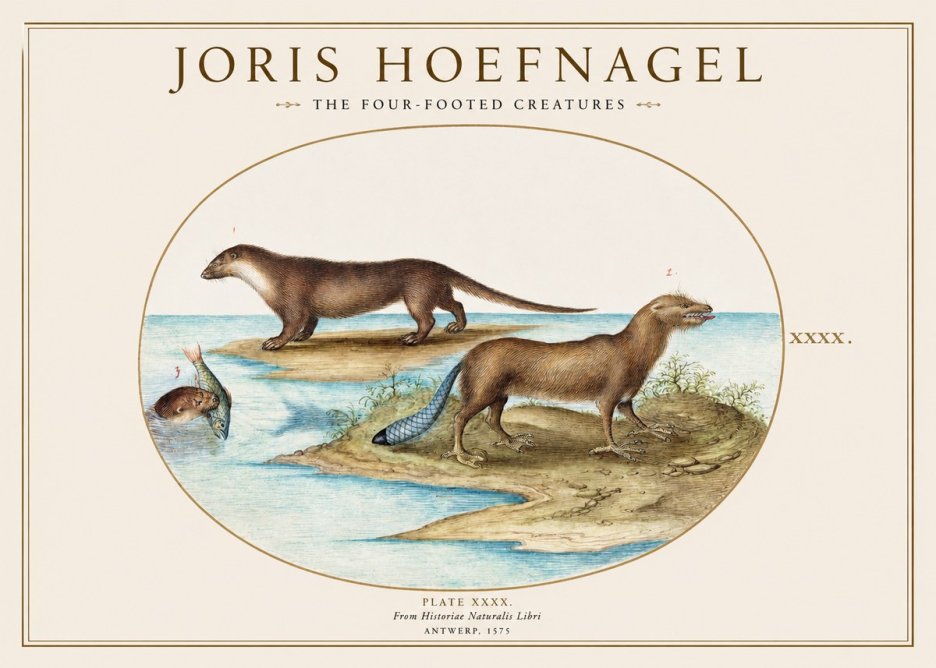 Joris Hoefnagel The Four-footed Creatures No1 - Poszter