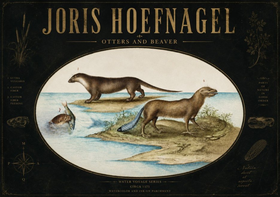Joris Hoefnagel The Four-footed Creatures No4 - Poszter