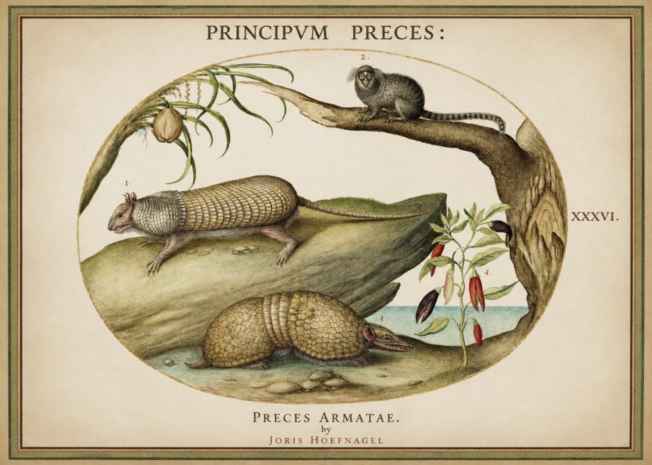Joris Hoefnagel Praeces Armatae. No2 - Poszter