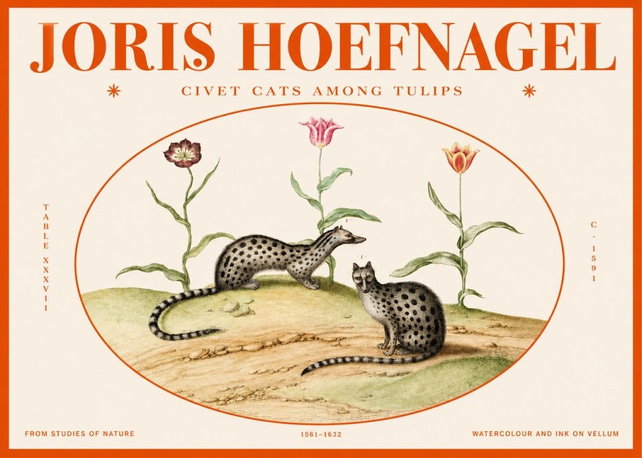 Joris Hoefnagel Civet Cats Among Tulips No2 - Poszter