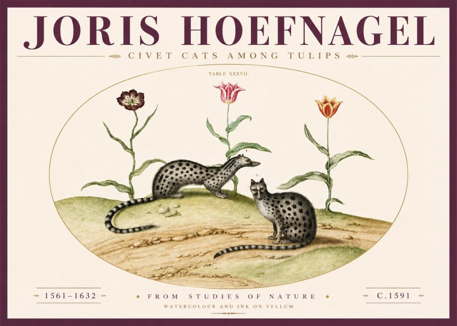 Joris Hoefnagel Civet Cats Among Tulips No4 - Poszter