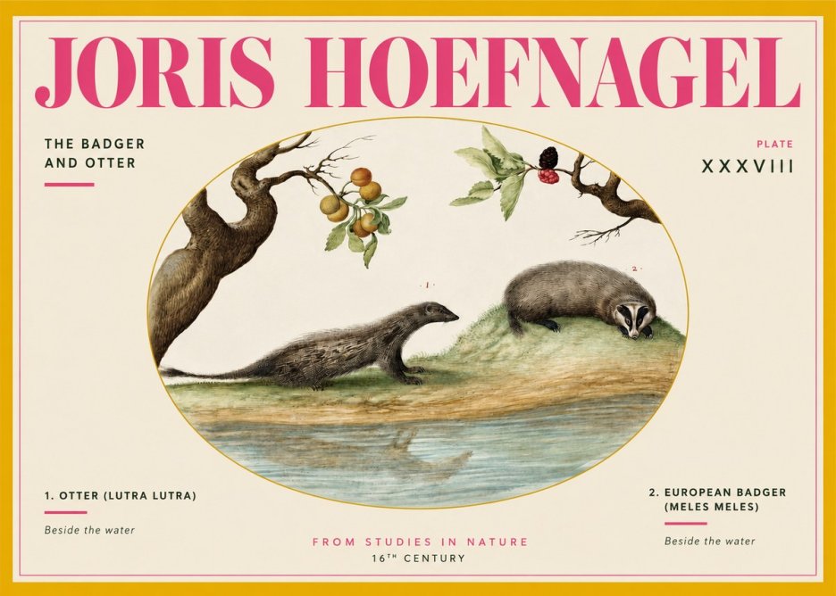 Joris Hoefnagel Studies of Animals and Nature Xxxxiii No4 - Poszter