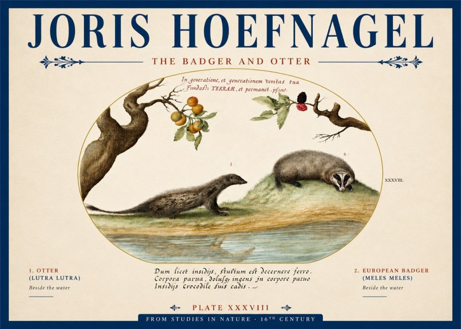 Joris Hoefnagel Studies of Animals and Nature Xxxxiii No5 - Poszter