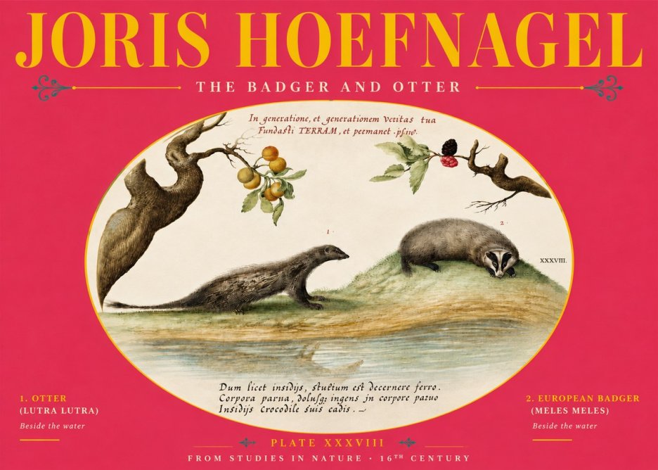 Joris Hoefnagel Studies of Animals and Nature Xxxxiii No6 - Poszter