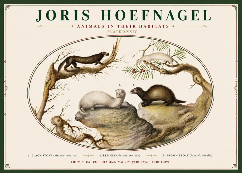 Joris Hoefnagel Animals in Their Habitats Plate Xxxiv No3 - Poszter