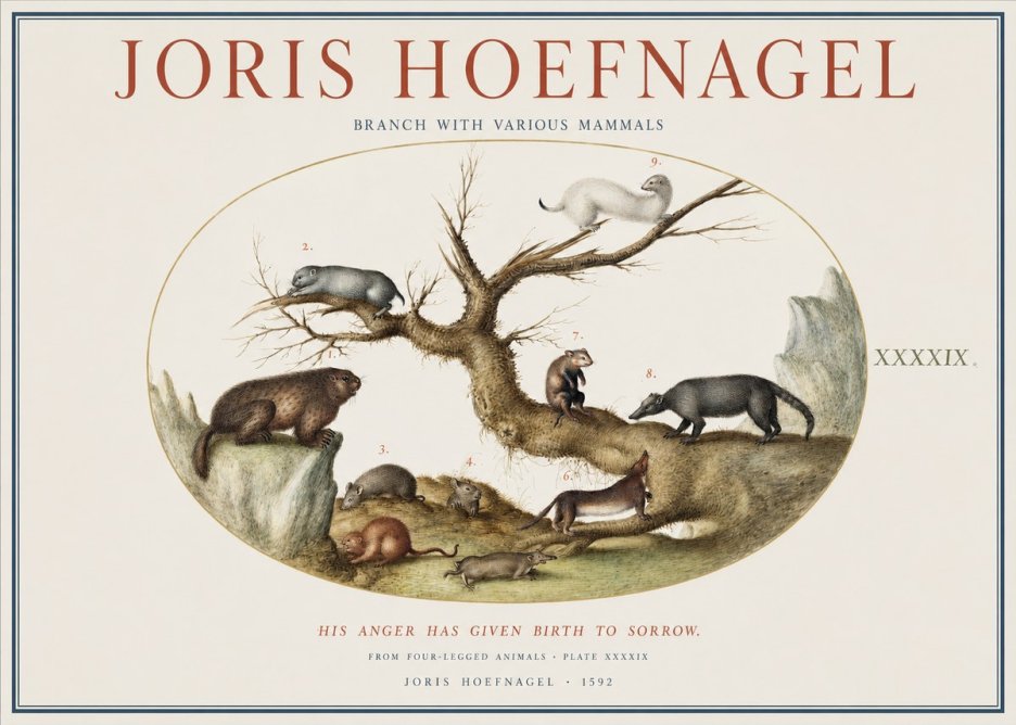 Joris Hoefnagel Branch with Various Mammals No1 - Poszter