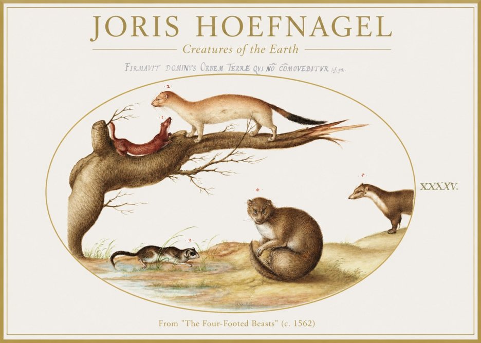 Joris Hoefnagel Creatures of the Earth I No1 - Poszter
