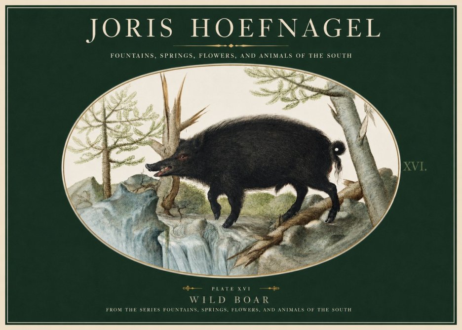 Joris Hoefnagel Fountains, Springs, Flowers, and Animals of the South - Plate Xvi No2 - Poszter