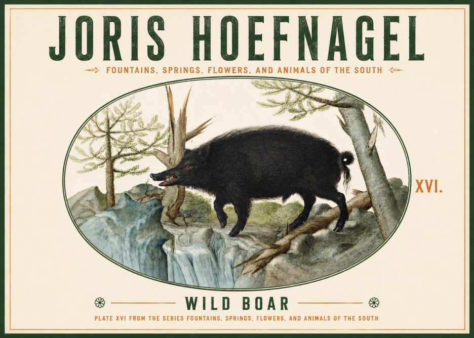 Joris Hoefnagel Fountains, Springs, Flowers, and Animals of the South - Plate Xvi No4 - Poszter
