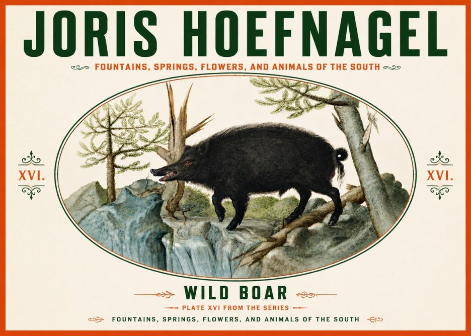 Joris Hoefnagel Fountains, Springs, Flowers, and Animals of the South - Plate Xvi No6 - Poszter