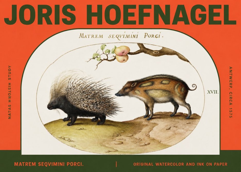 Joris Hoefnagel Matrem Seqvimini Porci. No2 - Poszter