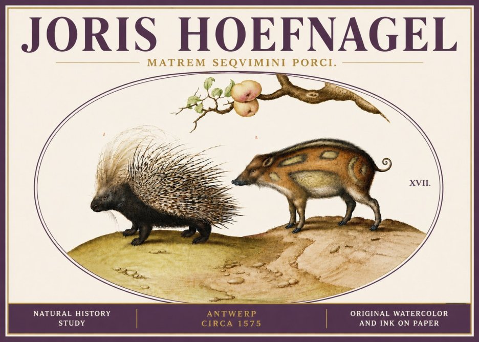 Joris Hoefnagel Matrem Seqvimini Porci. No6 - Poszter