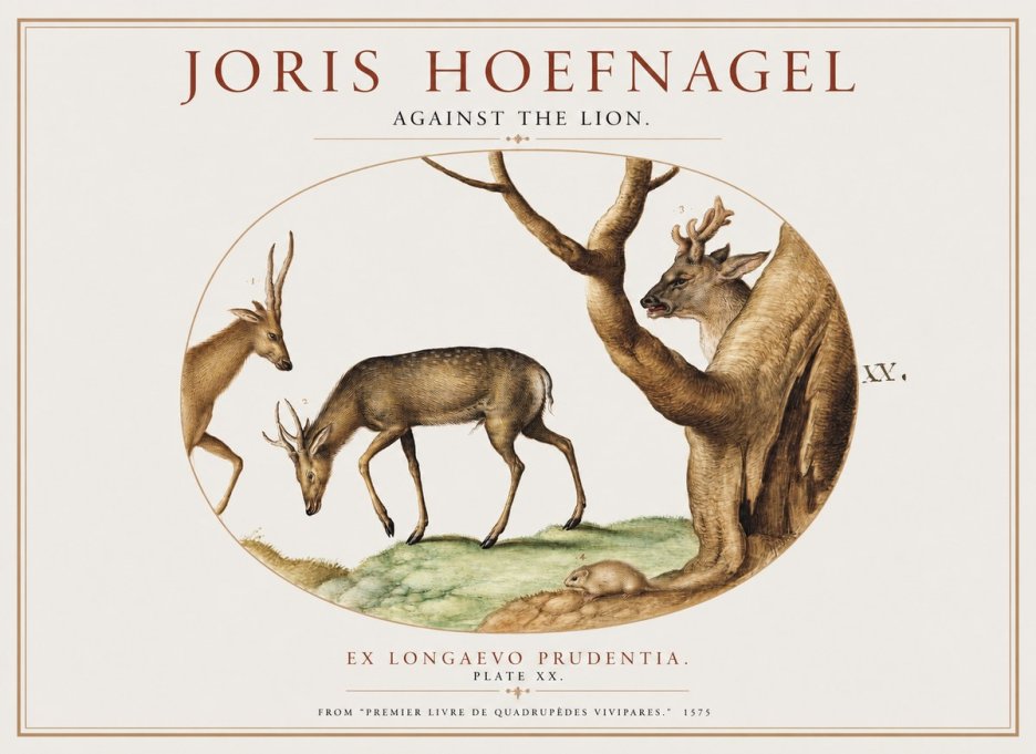 Joris Hoefnagel Do Not Rush Against the Lion. No5 - Poszter