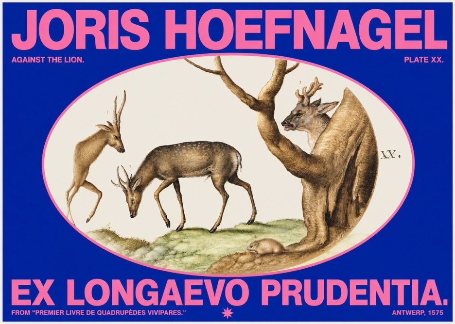 Joris Hoefnagel Do Not Rush Against the Lion. No6 - Poszter
