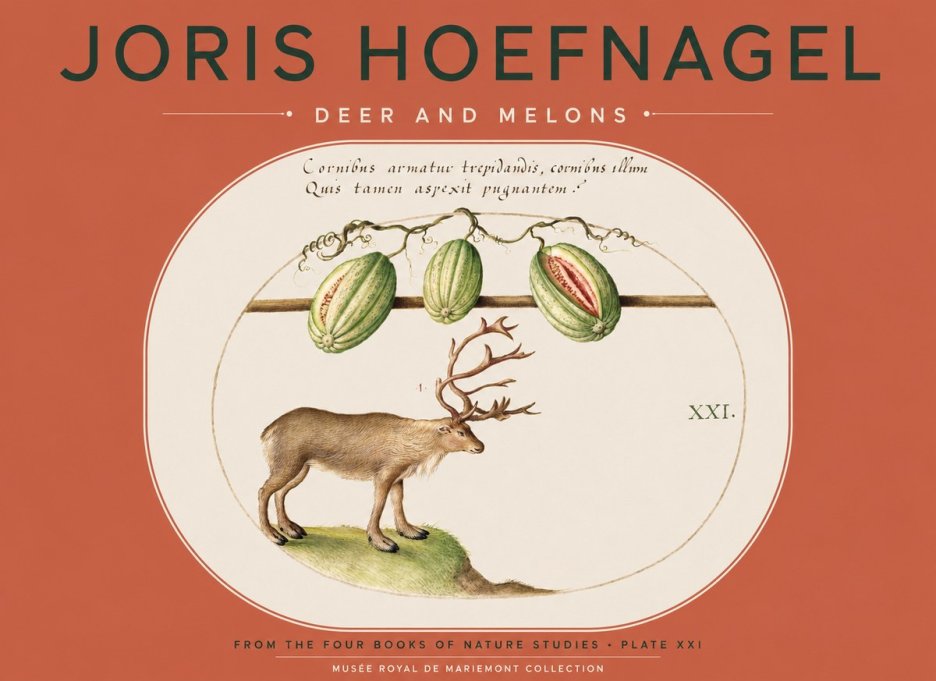 Joris Hoefnagel Arctic Nature Study No5 - Poszter