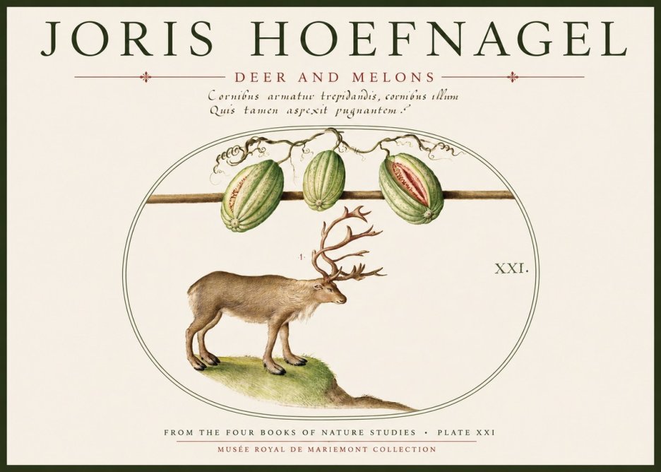 Joris Hoefnagel Arctic Nature Study No6 - Poszter