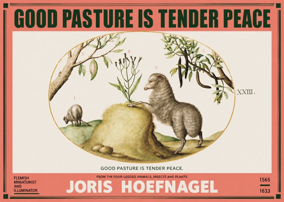 Joris Hoefnagel Good Pasture Is Tender Peace. No2 - Poszter