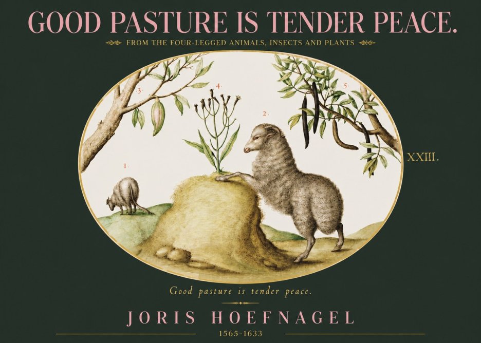 Joris Hoefnagel Good Pasture Is Tender Peace. No3 - Poszter