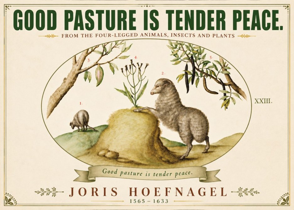 Joris Hoefnagel Good Pasture Is Tender Peace. No6 - Poszter