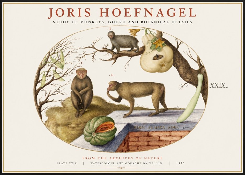 Joris Hoefnagel But Always a Monkey, Always a Monkey. Plate Xxix No2 - Poszter